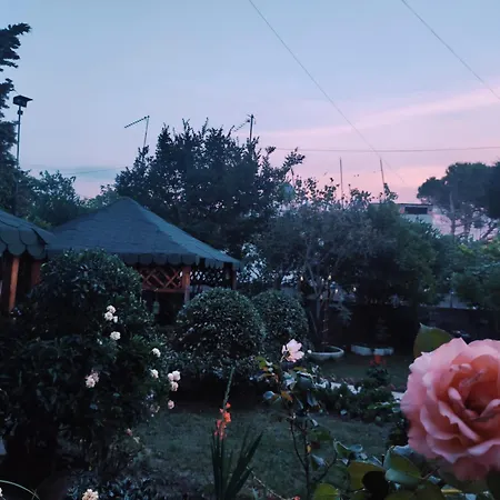 Homestay Beauty Day 펜션 *